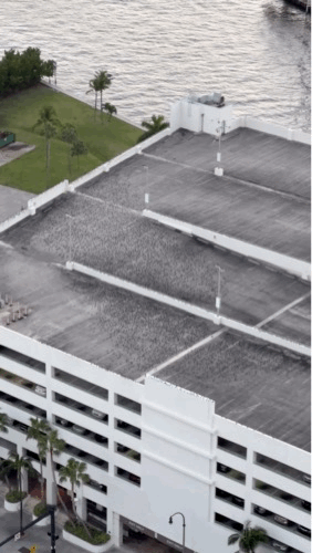 filtered-FF3312CC-094E-486E-8DA4-C49F00F761F4.gif