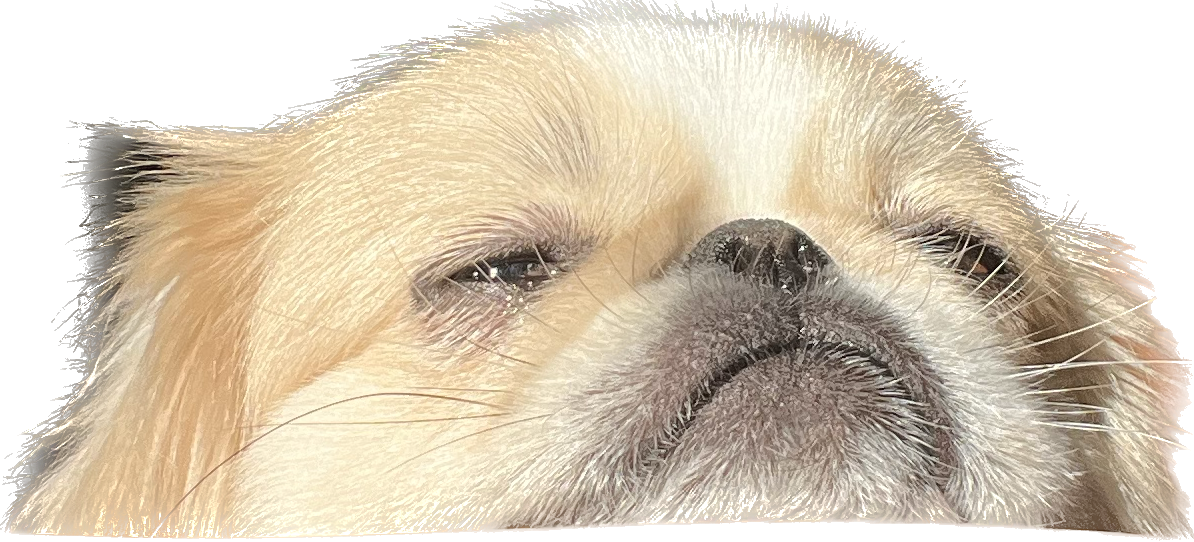 IMG_8437.png