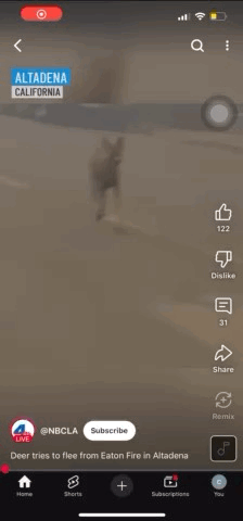 trim.6FA95342-8C97-4B95-A45F-916941B8DB33.gif