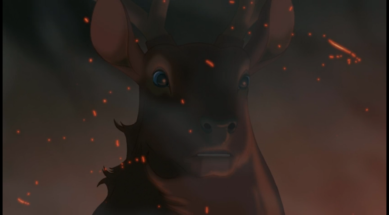 05.png