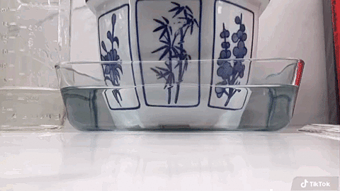 IMG_7858.GIF