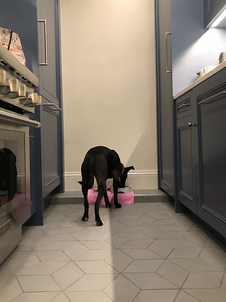 IMG_20211009_111246-ANIMATION.gif