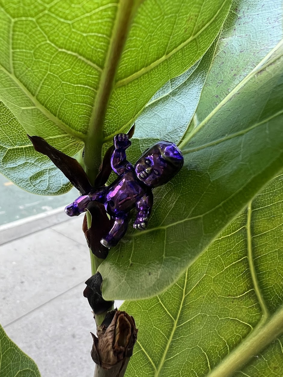 Pasted image 20260107154816.png