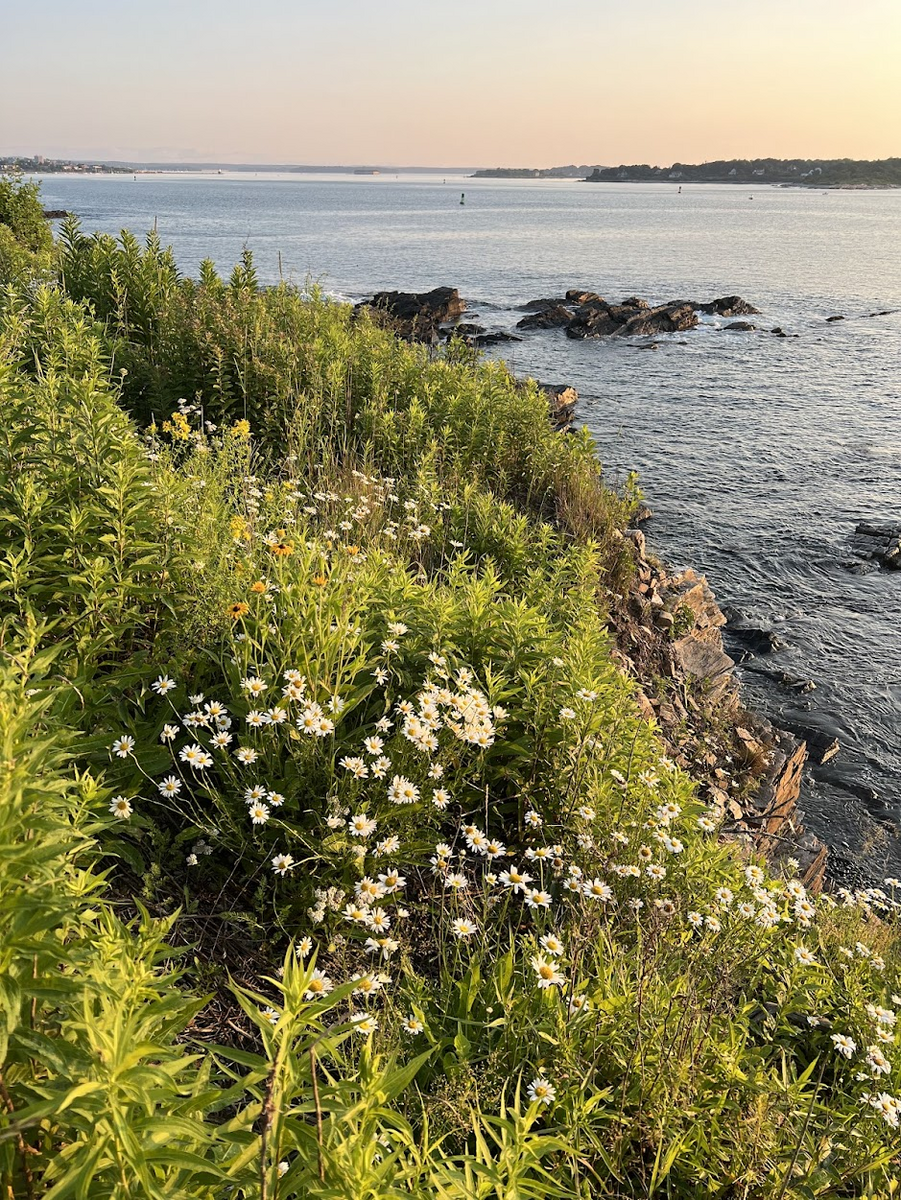 Pasted image 20260107161435.png