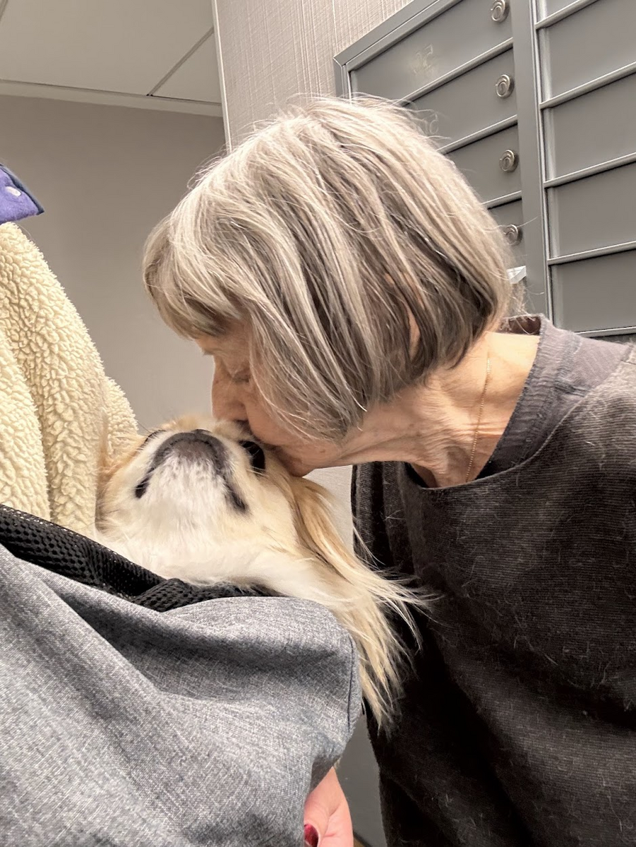 Pasted image 20260107161653.png