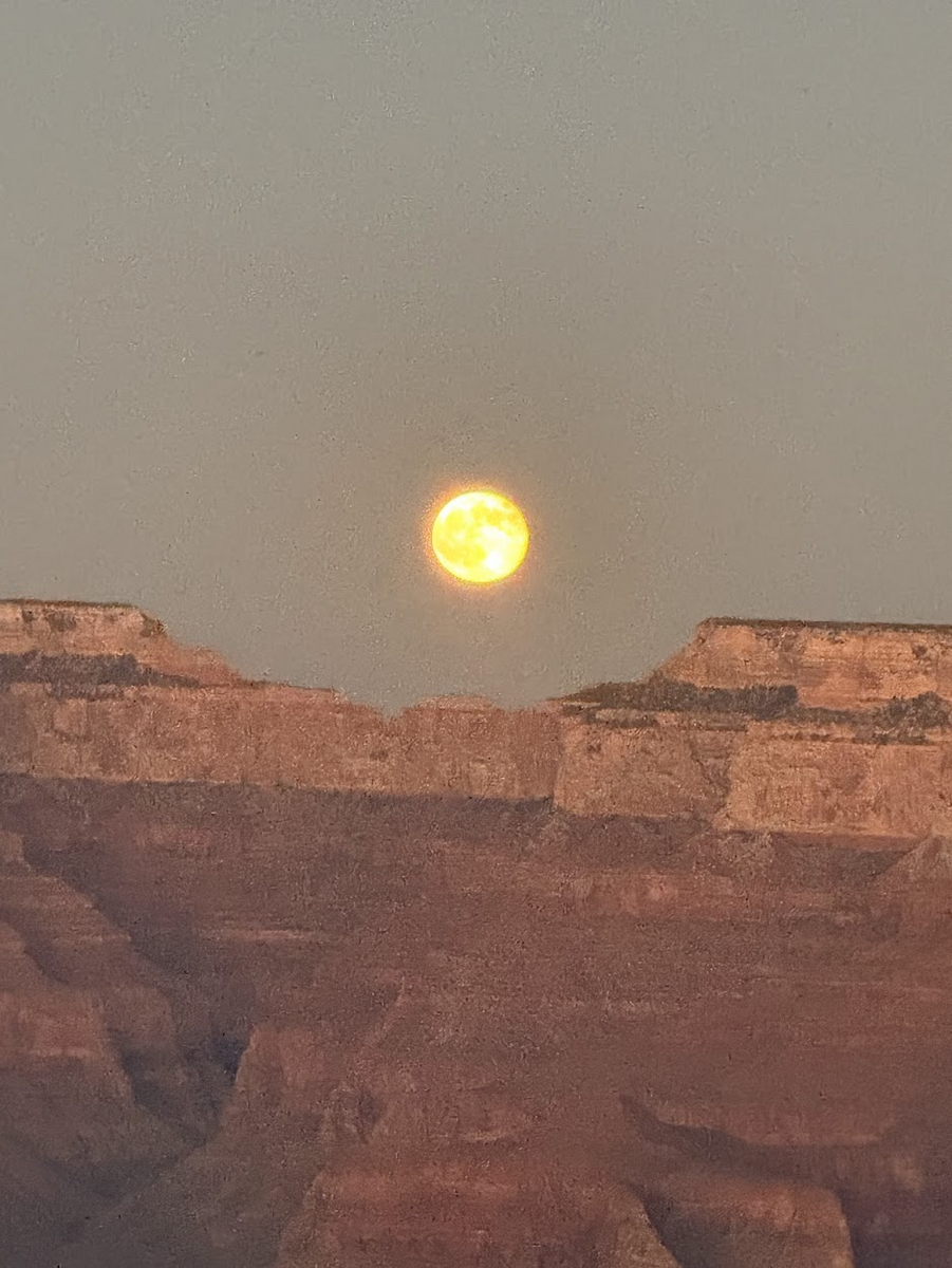 Pasted image 20260107152009.png