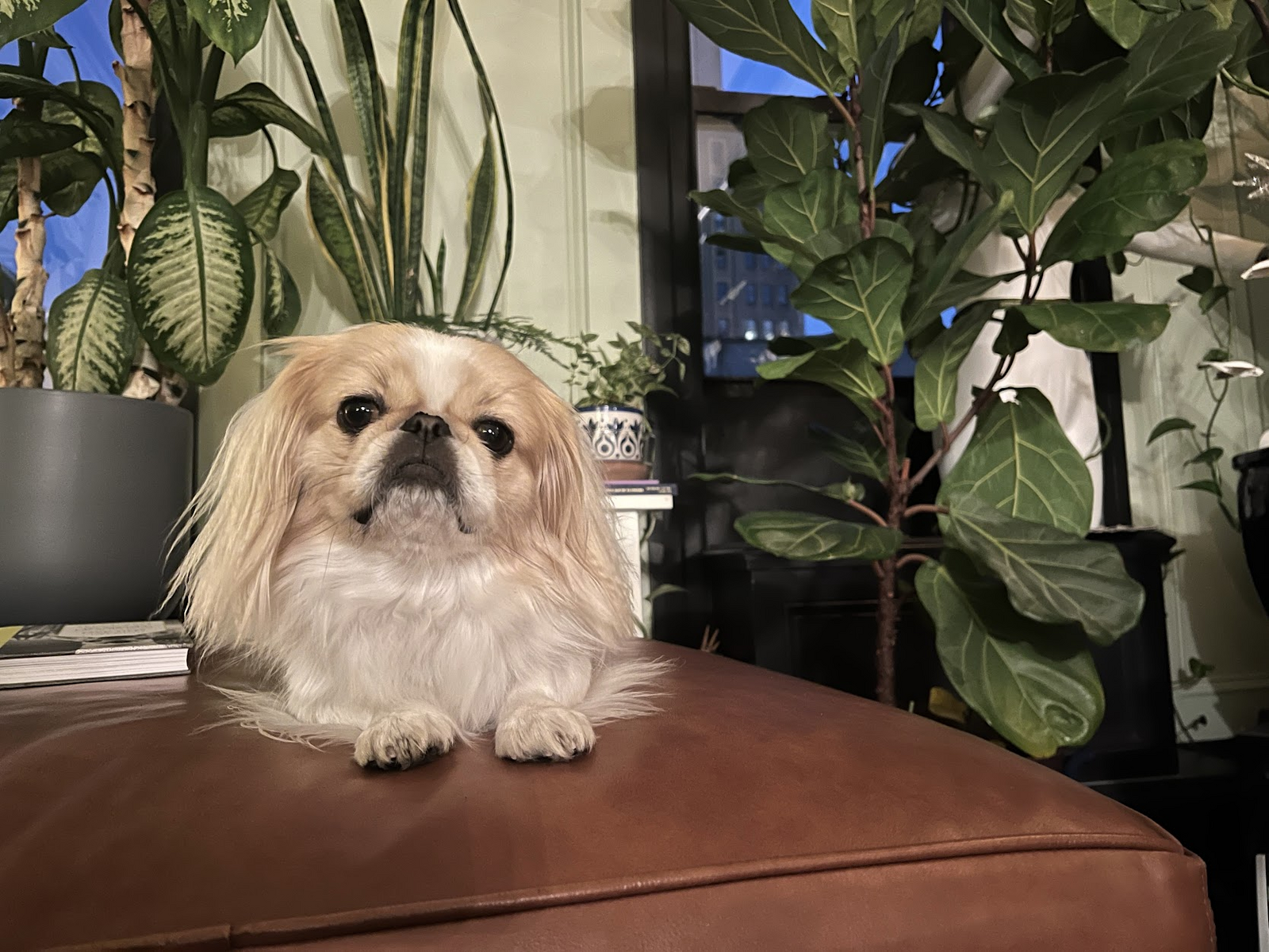 Pasted image 20260107155244.png