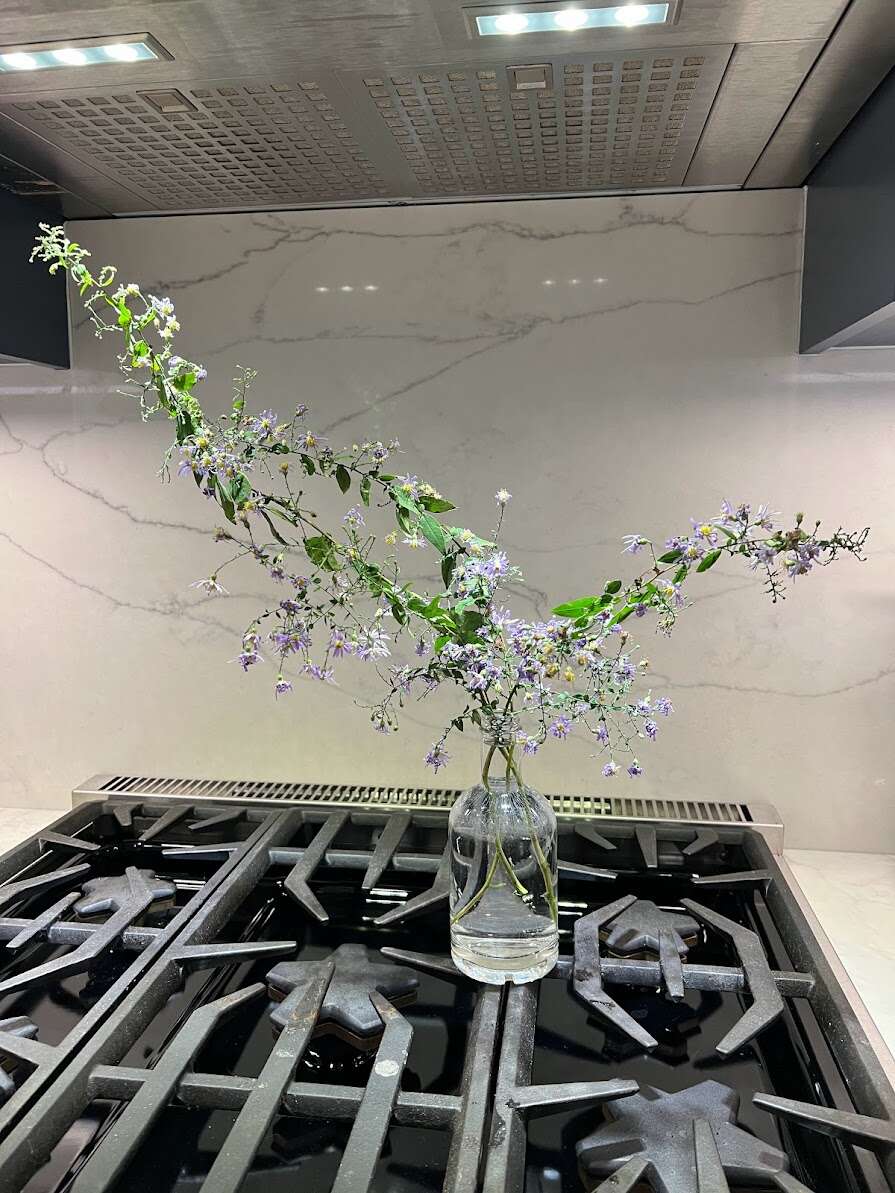 1002 aster.jpg