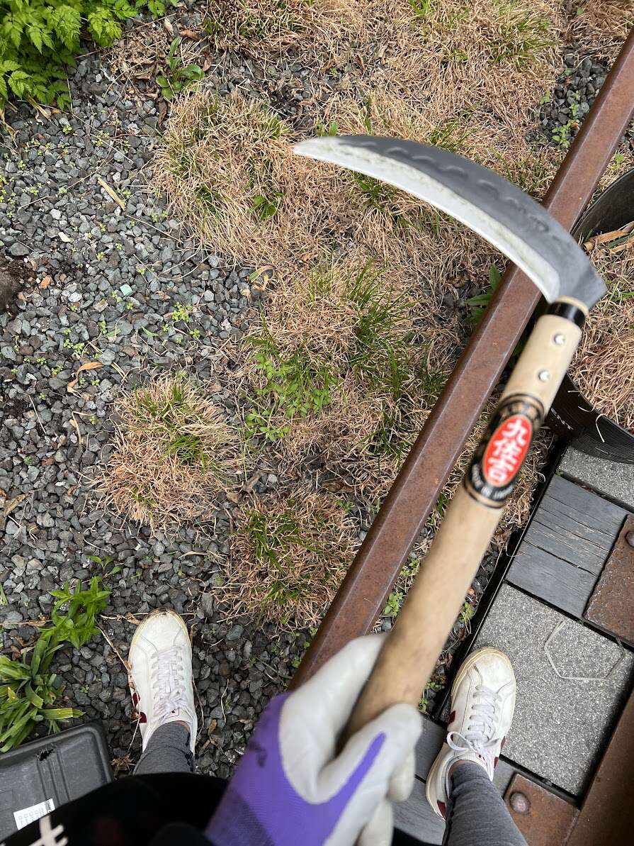 0403.jpg