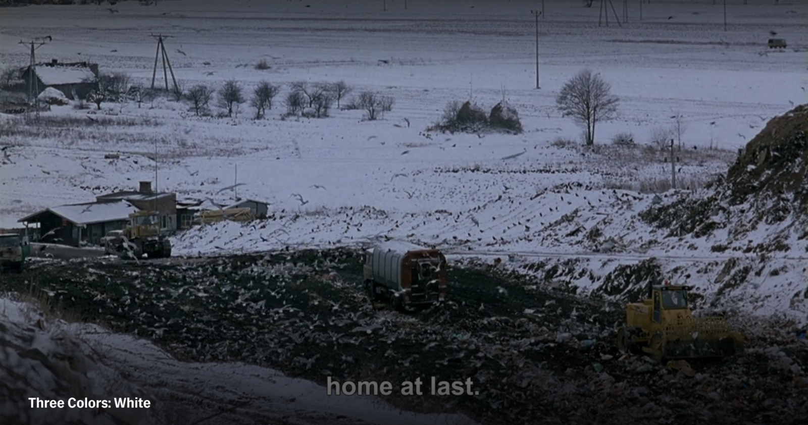 white 02.png