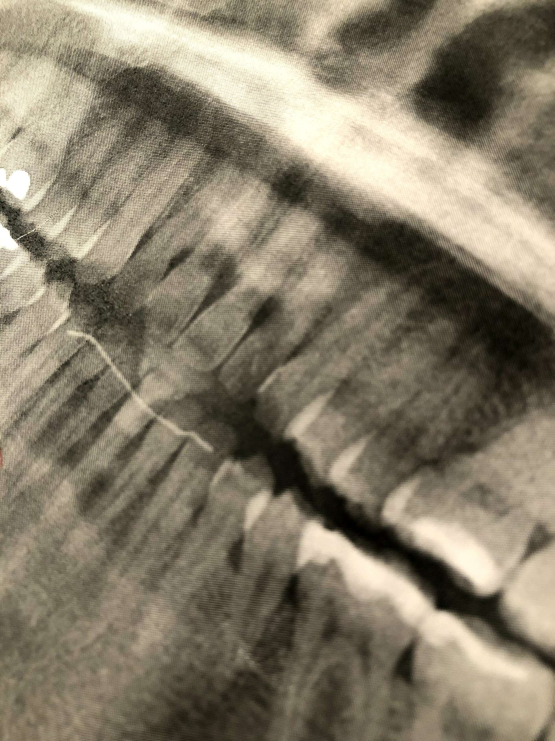 TEETH TEETH TEETH.jpg