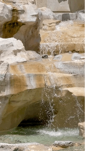 IMG_2301.gif