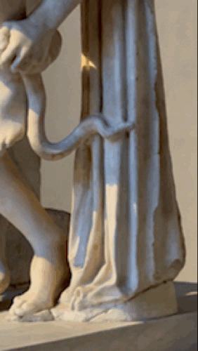 IMG_2816.gif