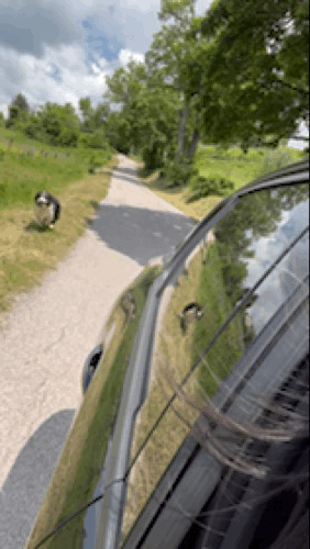 IMG_0362.gif