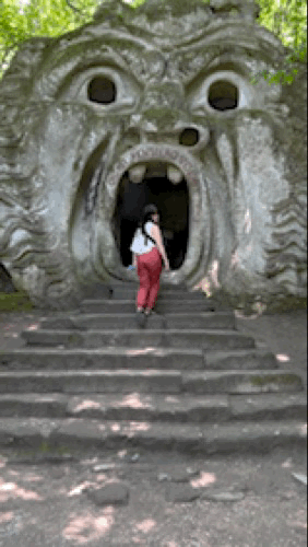 IMG_0412.gif