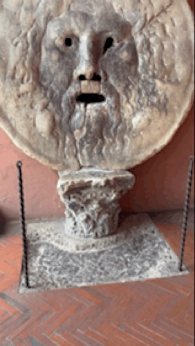 IMG_2474.gif