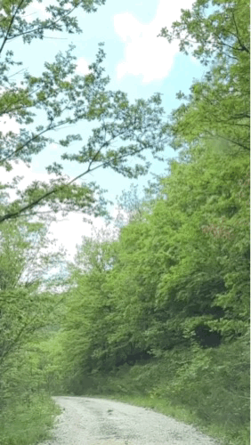 ips-5D79AB52-F2E1-4CC8-B7DB-AE8DE7228916.gif
