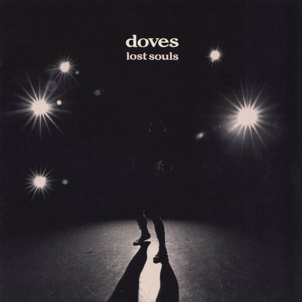 doveslost.jpeg