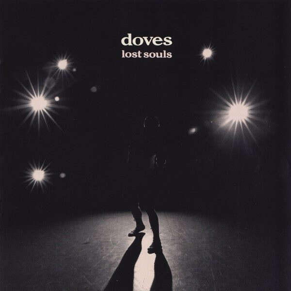 doveslost.jpeg