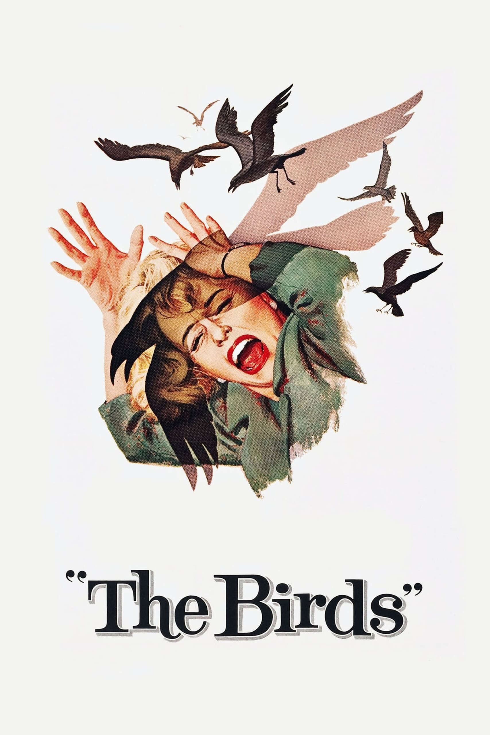 birds.jpg