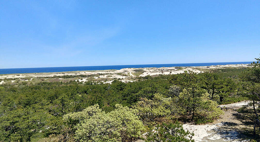 IMG_20210519_114454795_HDR.jpg
