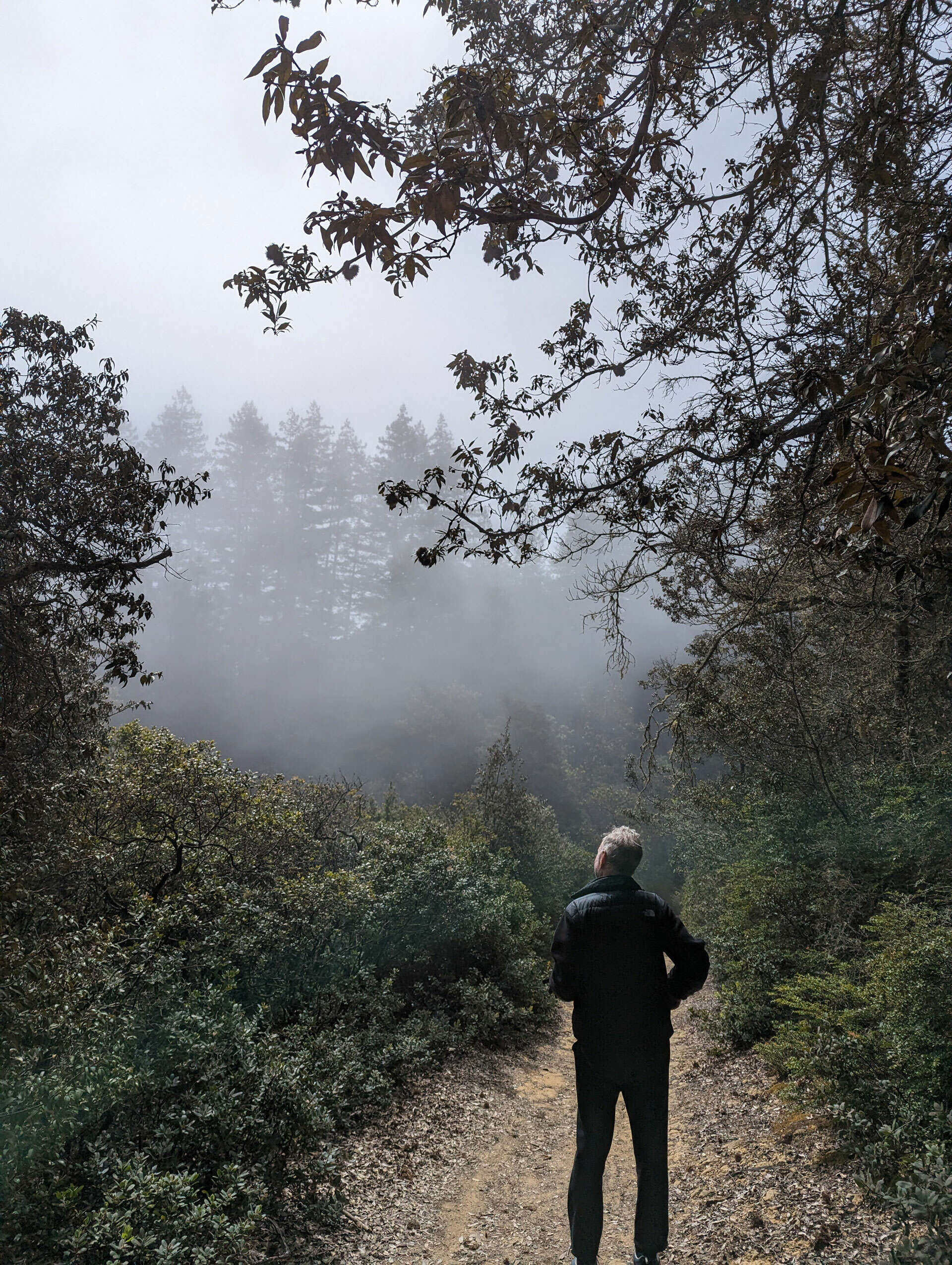 trail.jpg