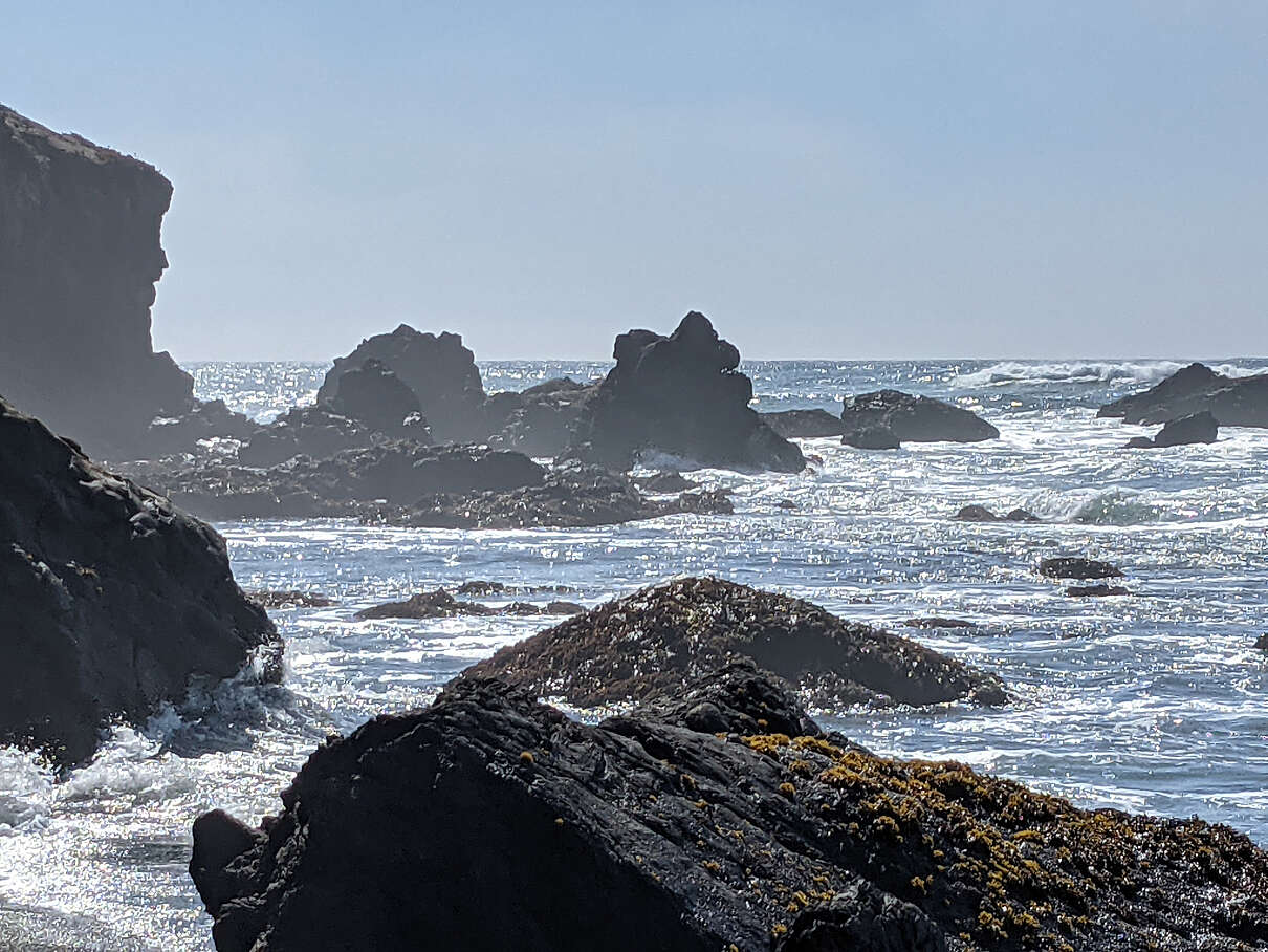Sea-Ranch-Coast-2.jpg