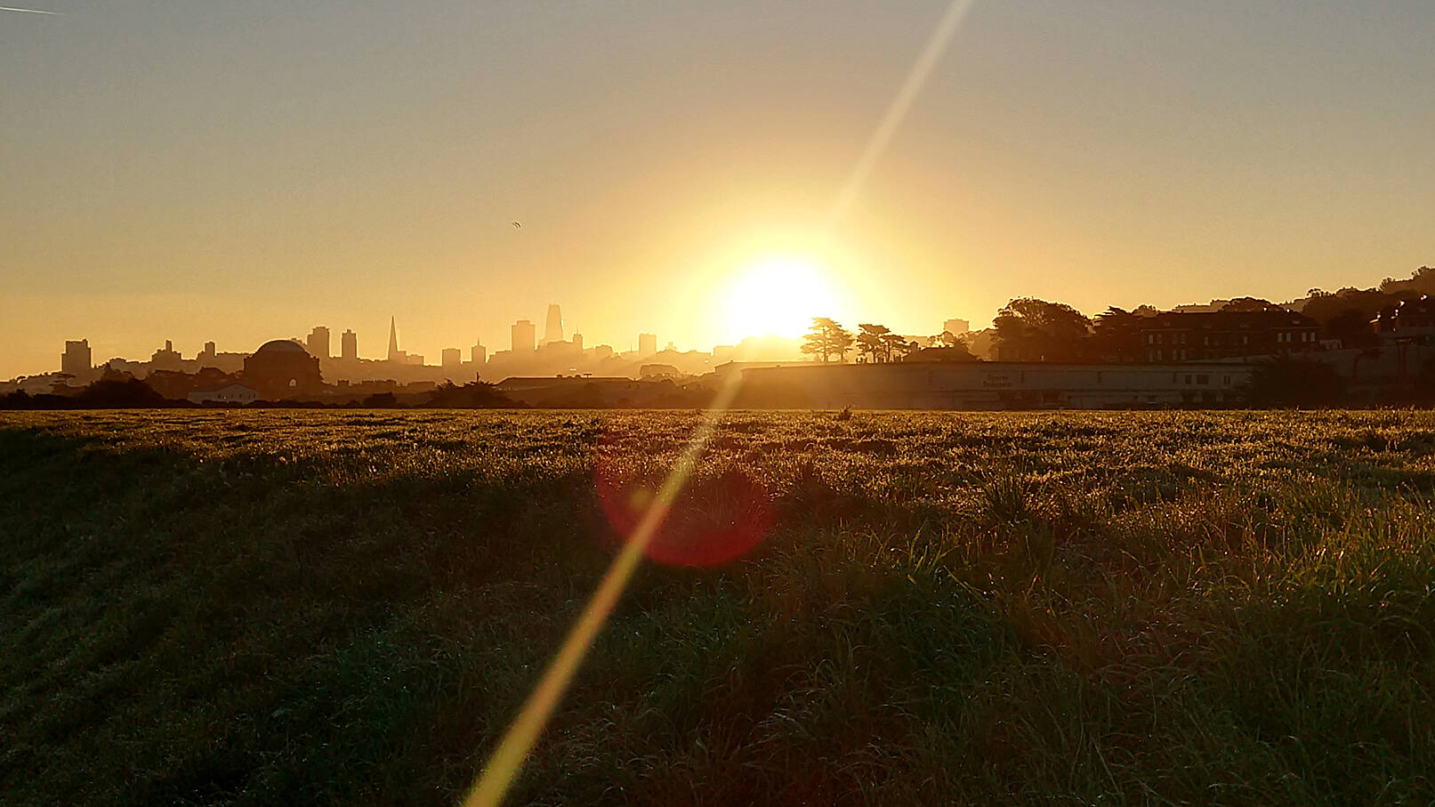 CrissyField.jpg