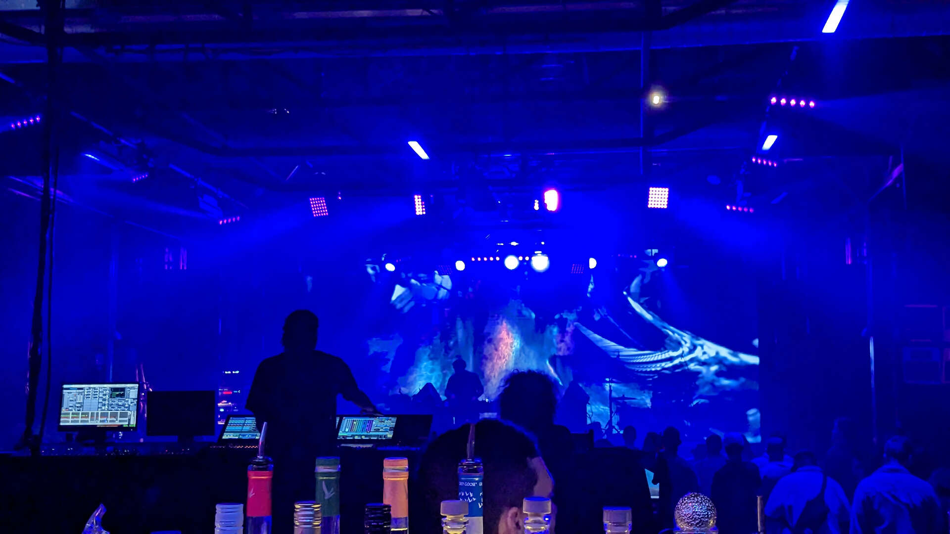 rave.jpg