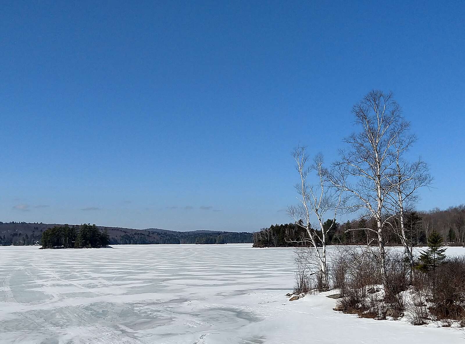 IMG_20210317_122118530_HDR.jpg