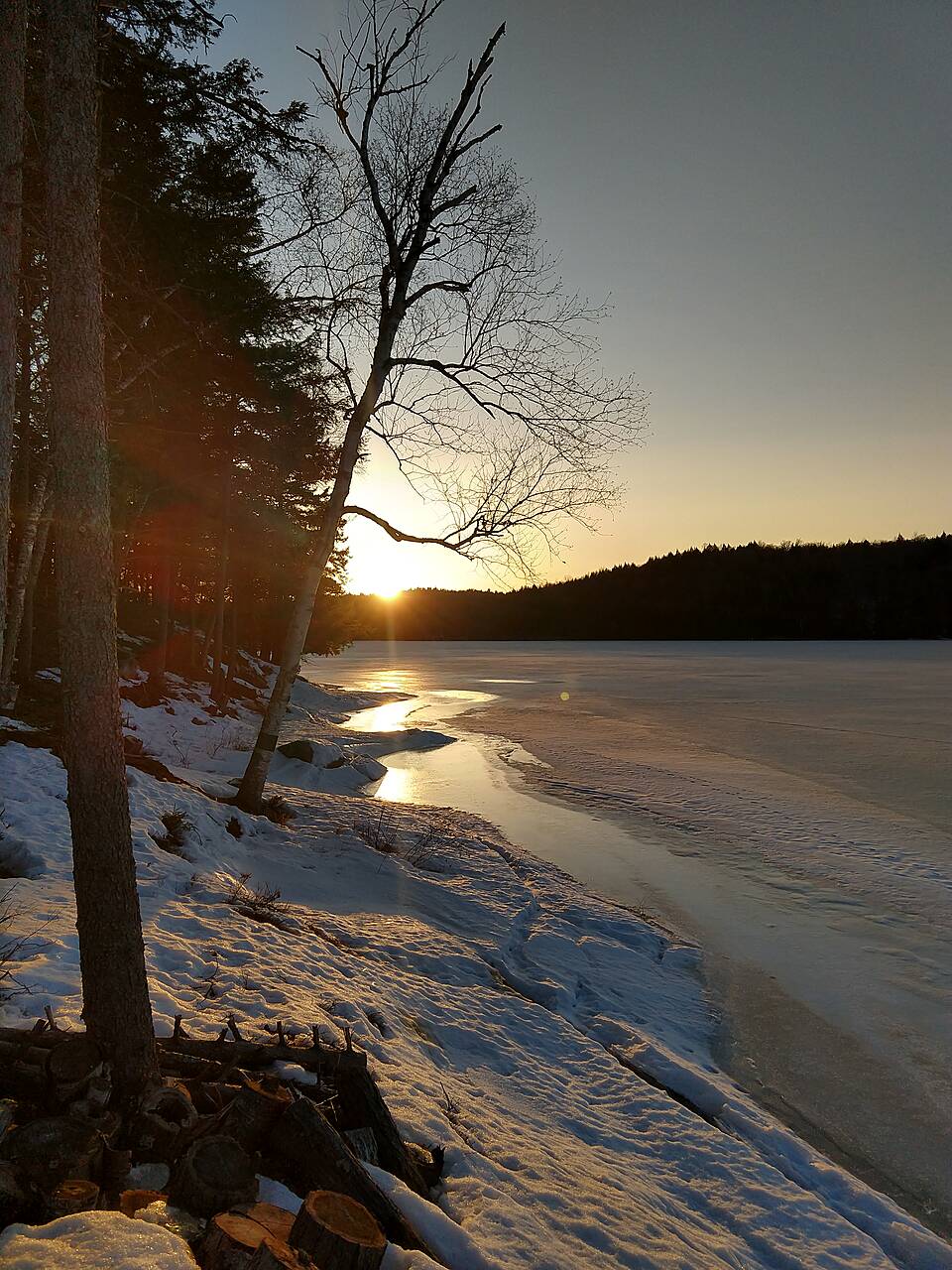 IMG_20210322_185147231_HDR.jpg