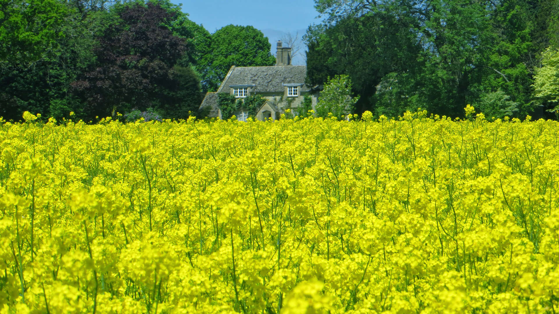 cotswolds.jpg