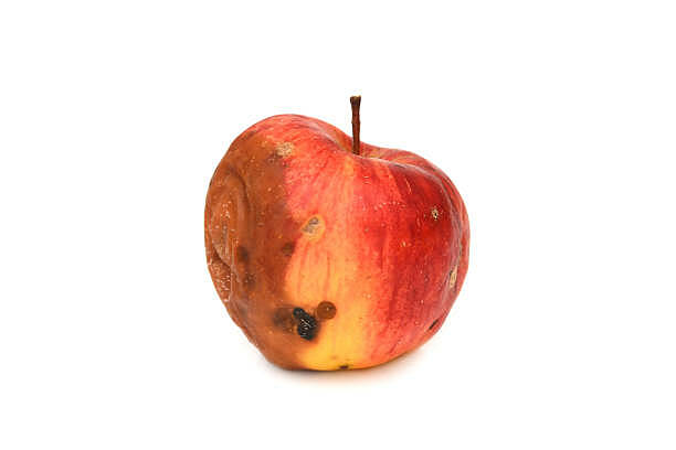 partially rotten red apple.jpg