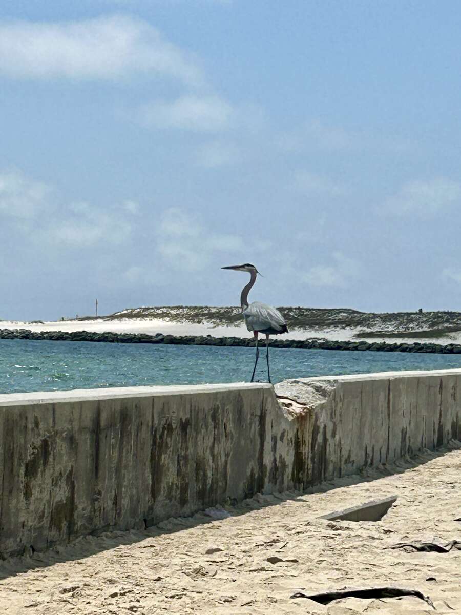 IMG_8913.JPG