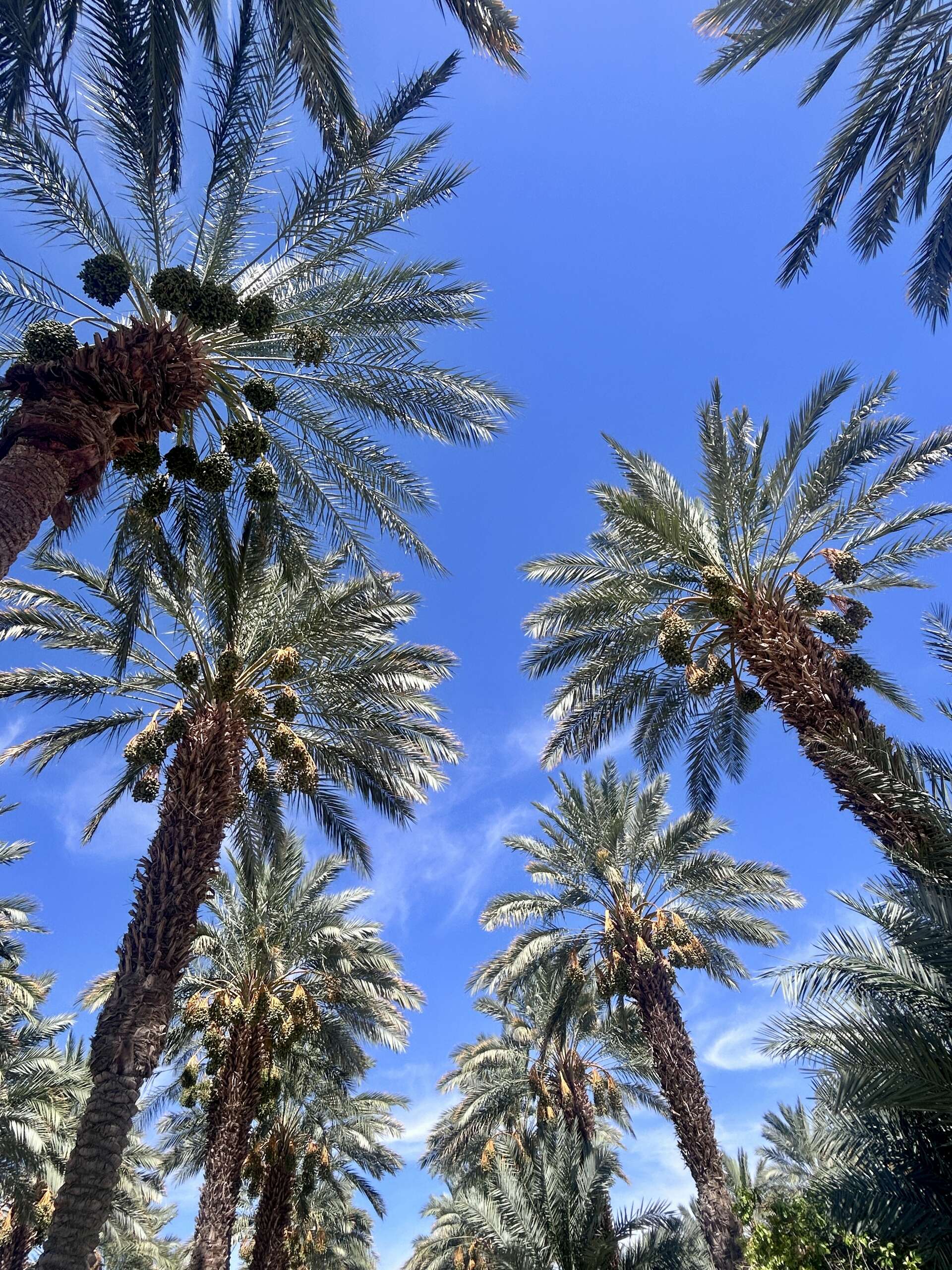 IMG_7100 2.JPG