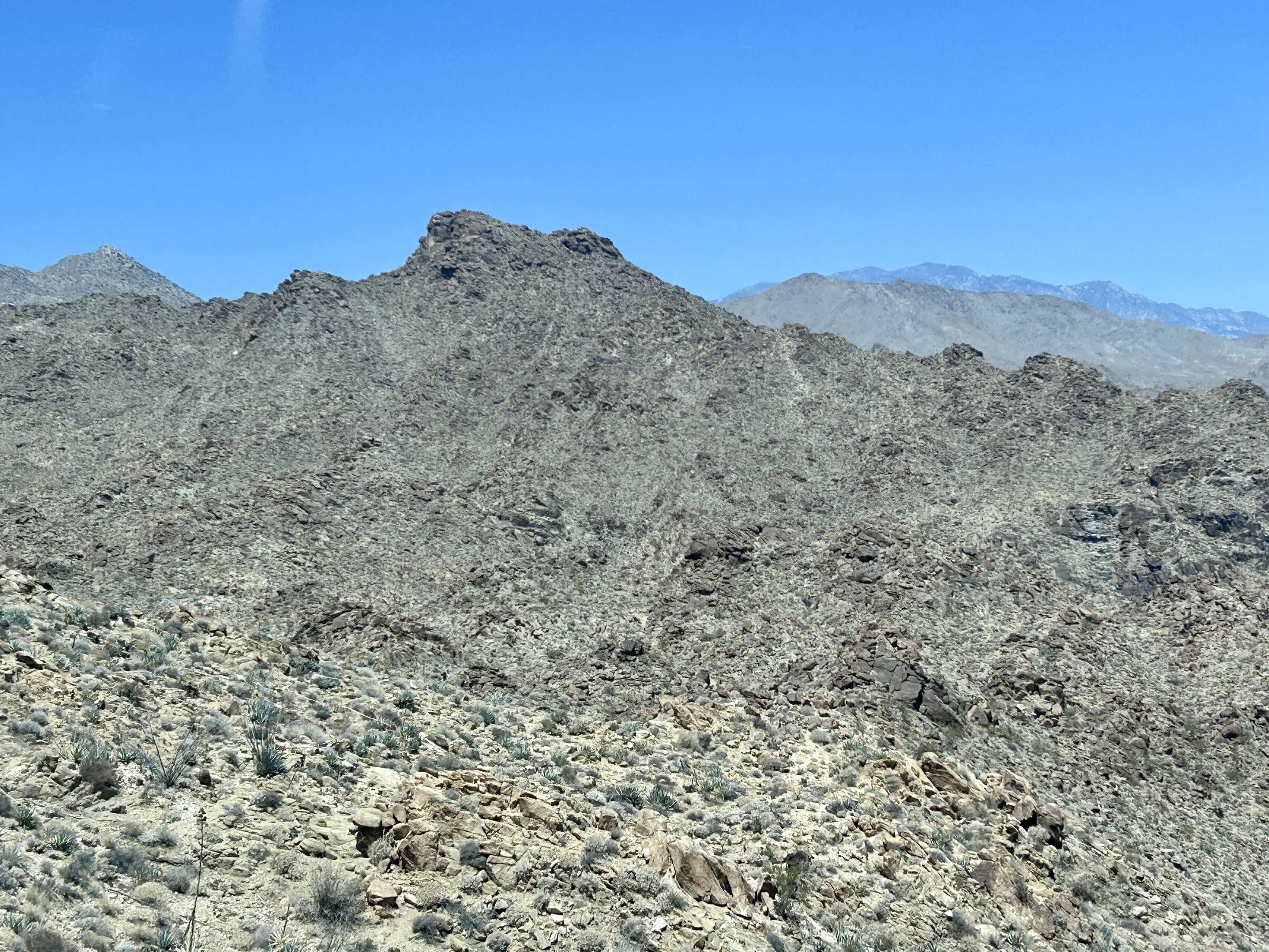 IMG_7155.JPG