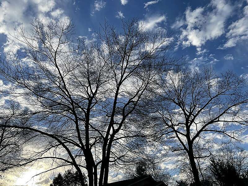 morning clouds-800x600.jpg