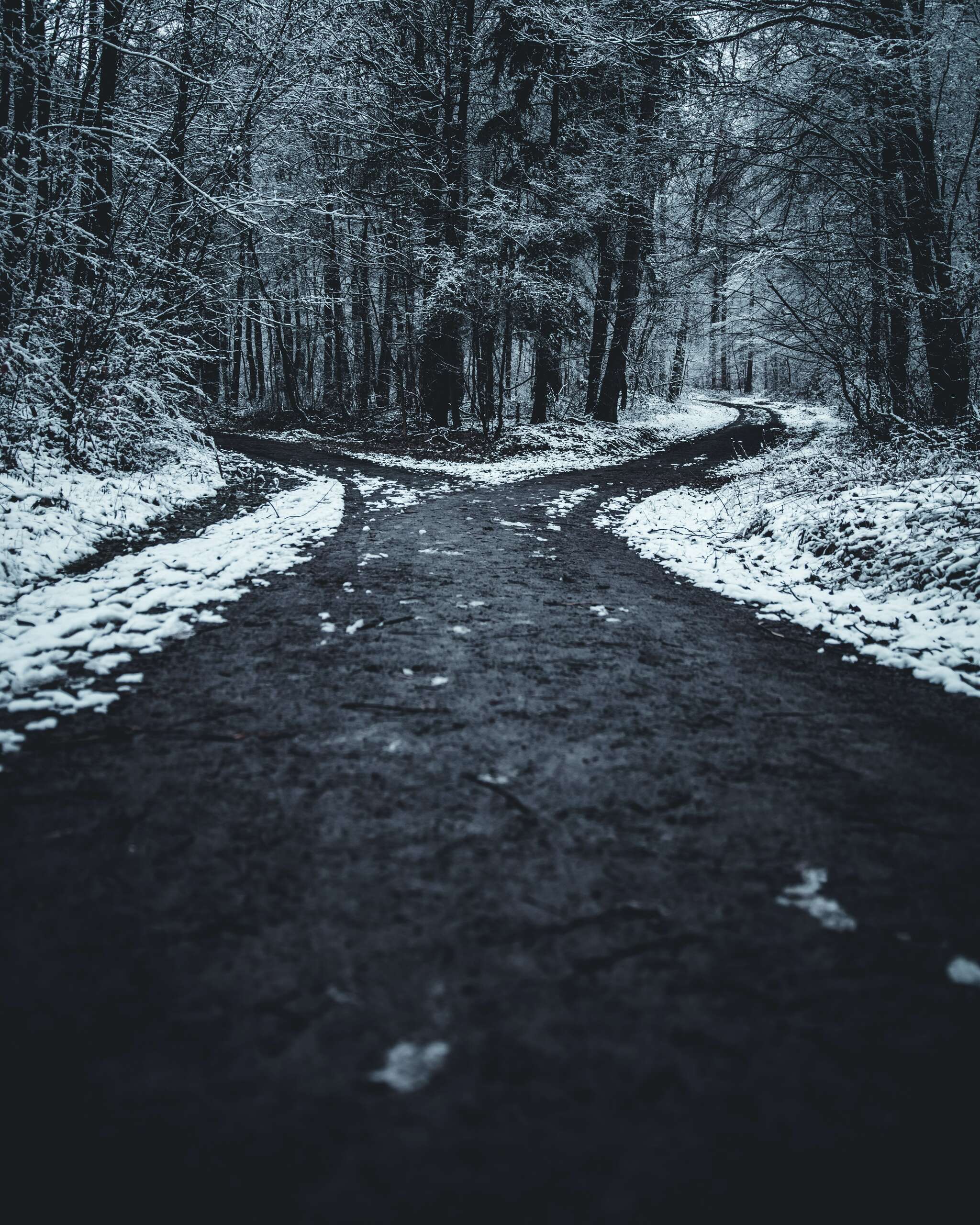 oliver-roos-PCNdauVPbjA-unsplash (1).jpg