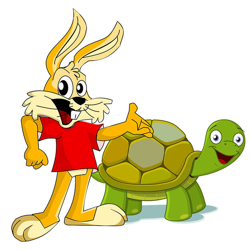 tortoise and the hare.jpg