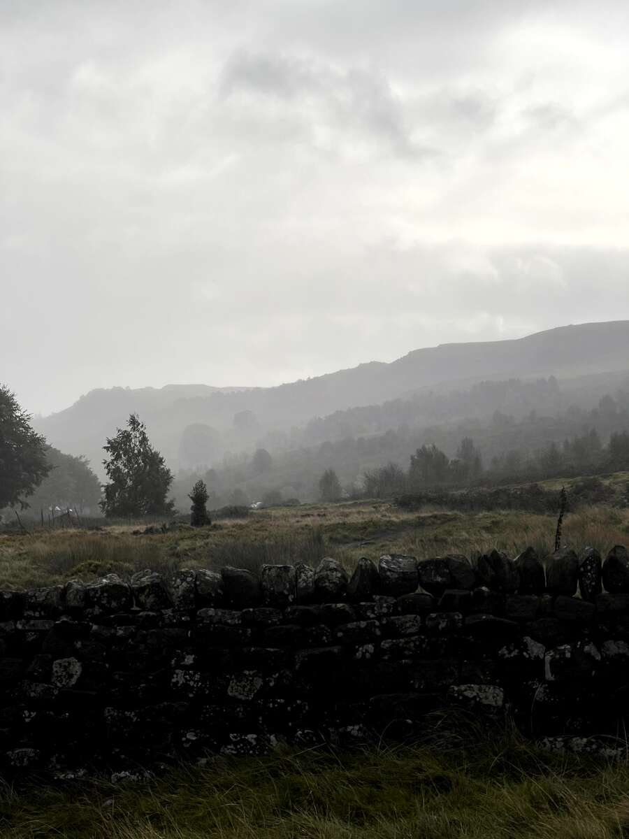 yorkshire3.jpg