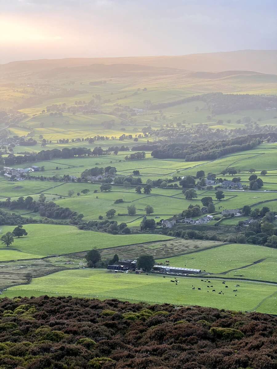 yorkshire2.jpg
