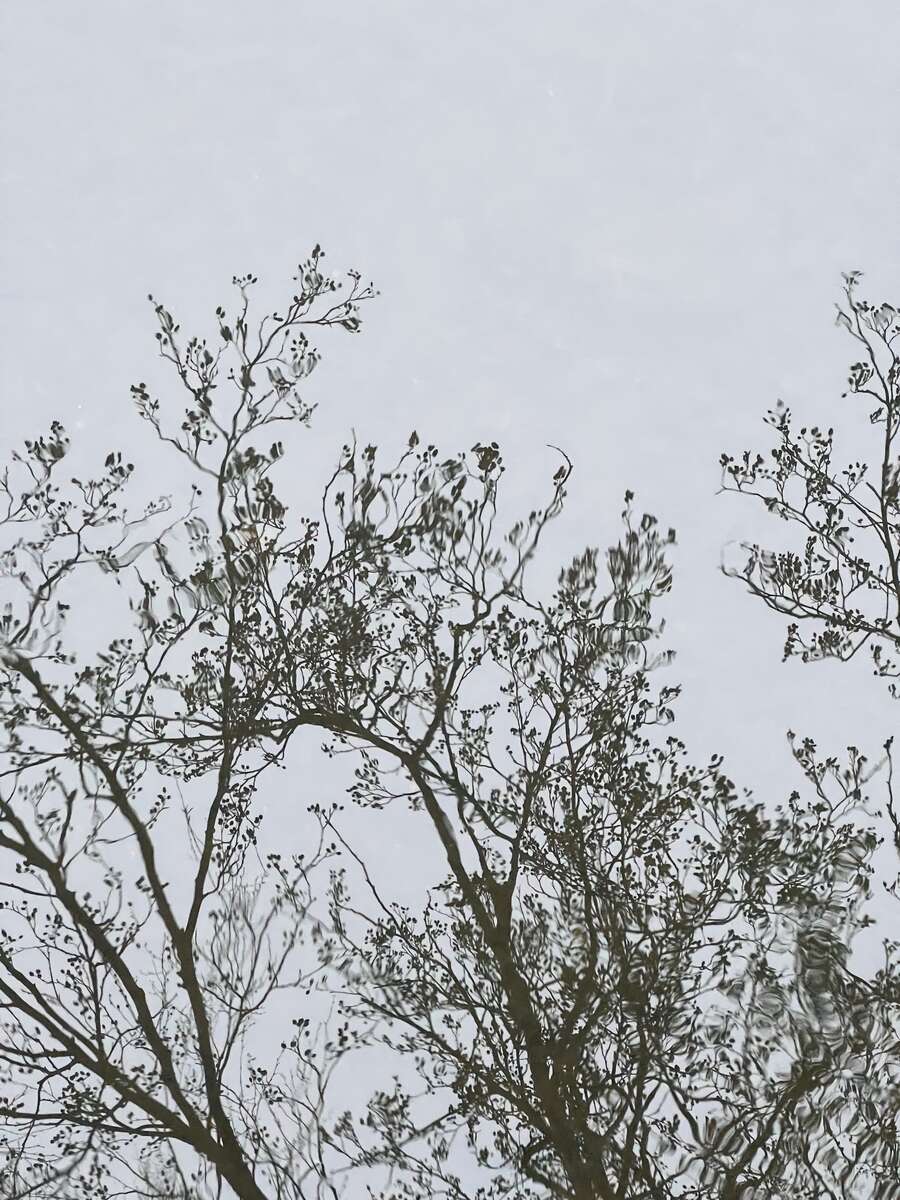 17A64DA1-50C2-4A39-BEB2-652625F420B5.JPG