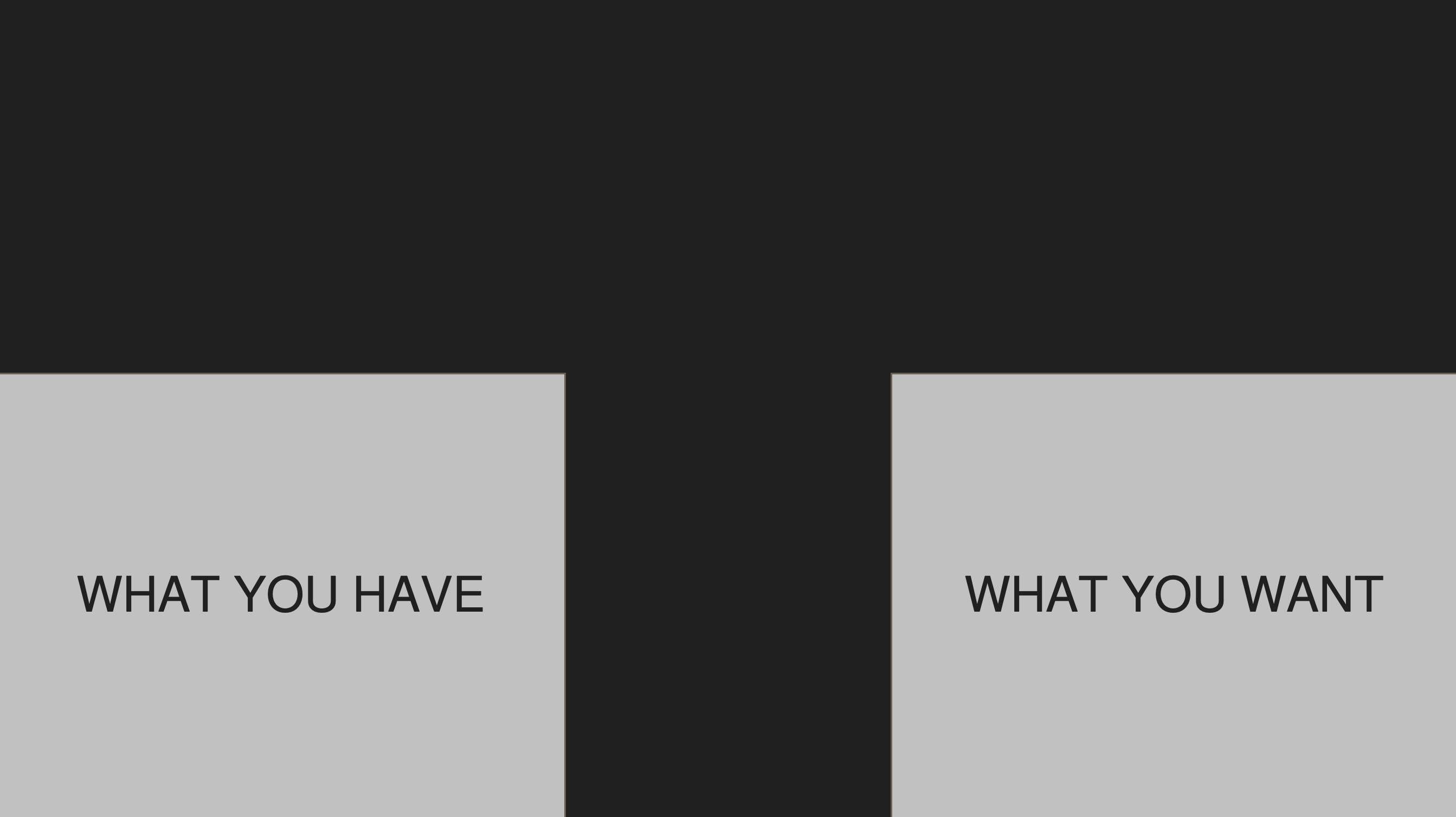 What You Want. What You Have.jpg