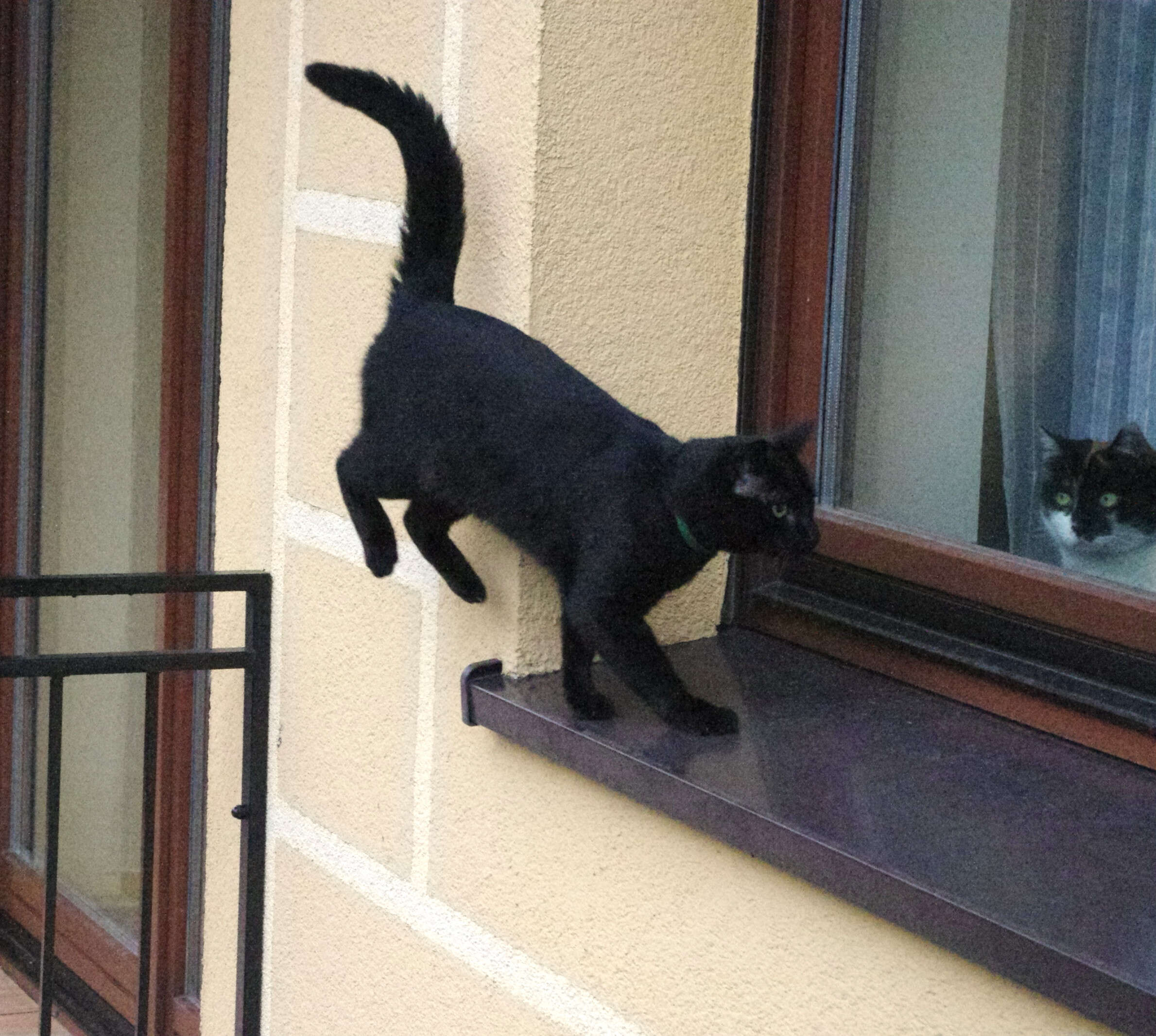 2011-12-1.jpg