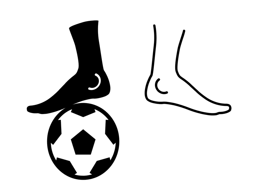 IMG_9486.PNG