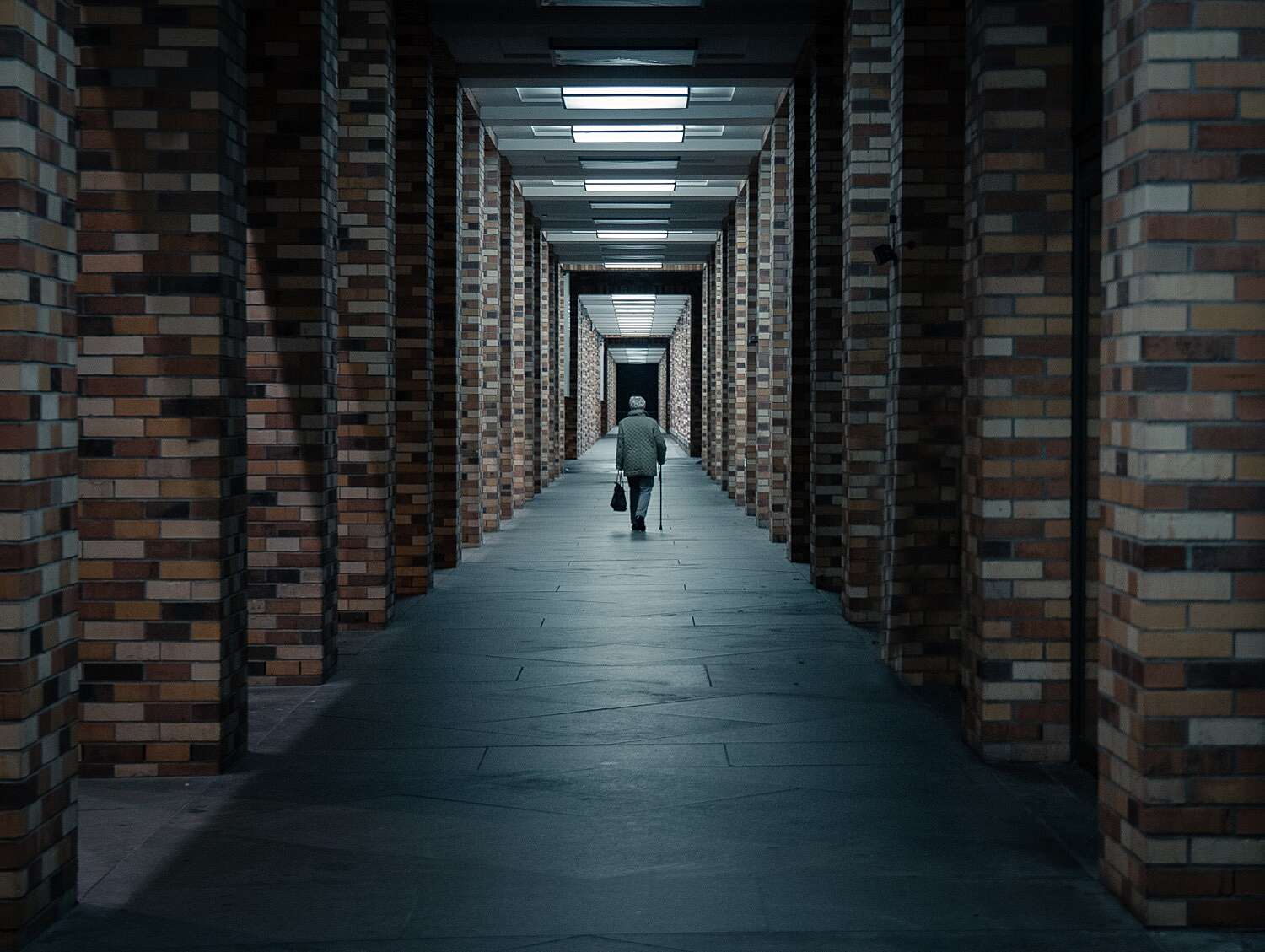 leon-seibert-_LZZnHexYKM-unsplash copy@1500px.jpg