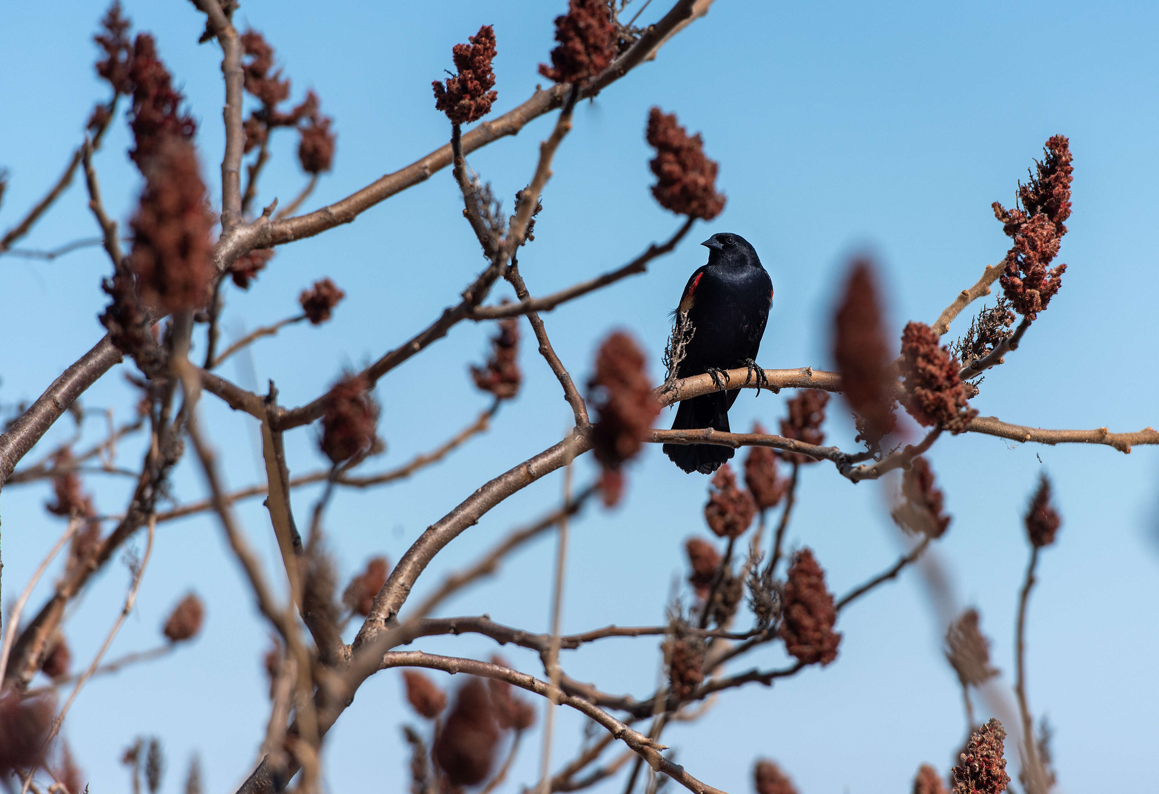 DSC_1689.jpg