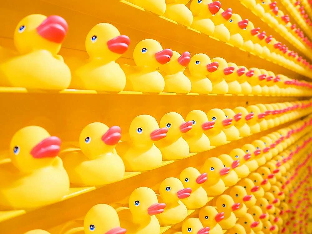 joshua-coleman-fXls-tVemno-unsplash.jpeg