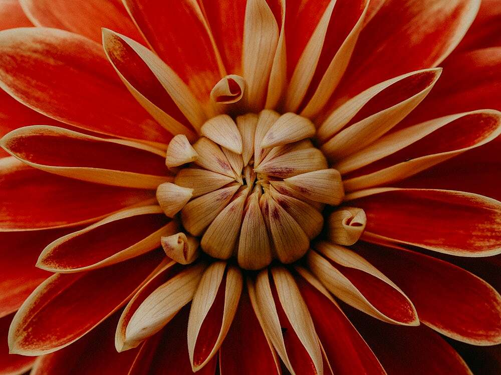 annie-spratt-0JUA-9aED3I-unsplash.jpeg