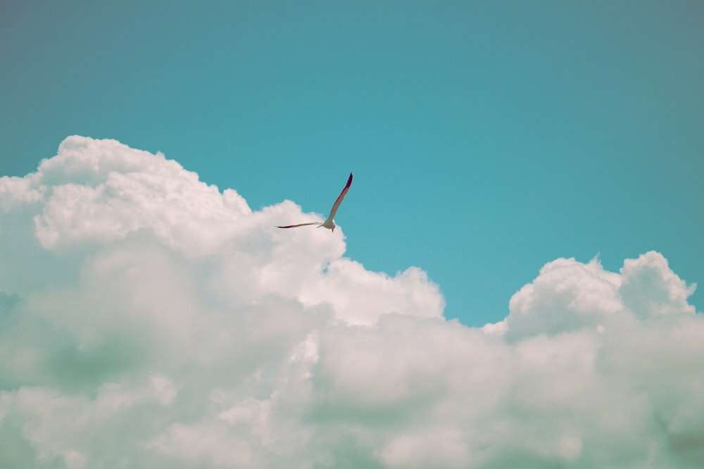 dallas-reedy-NEJFAS1Okho-unsplash.jpeg